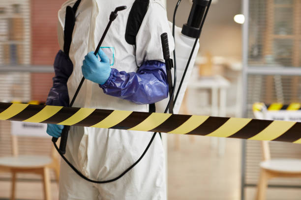 Professional Sewage Cleanup technician working in Harrison, OH